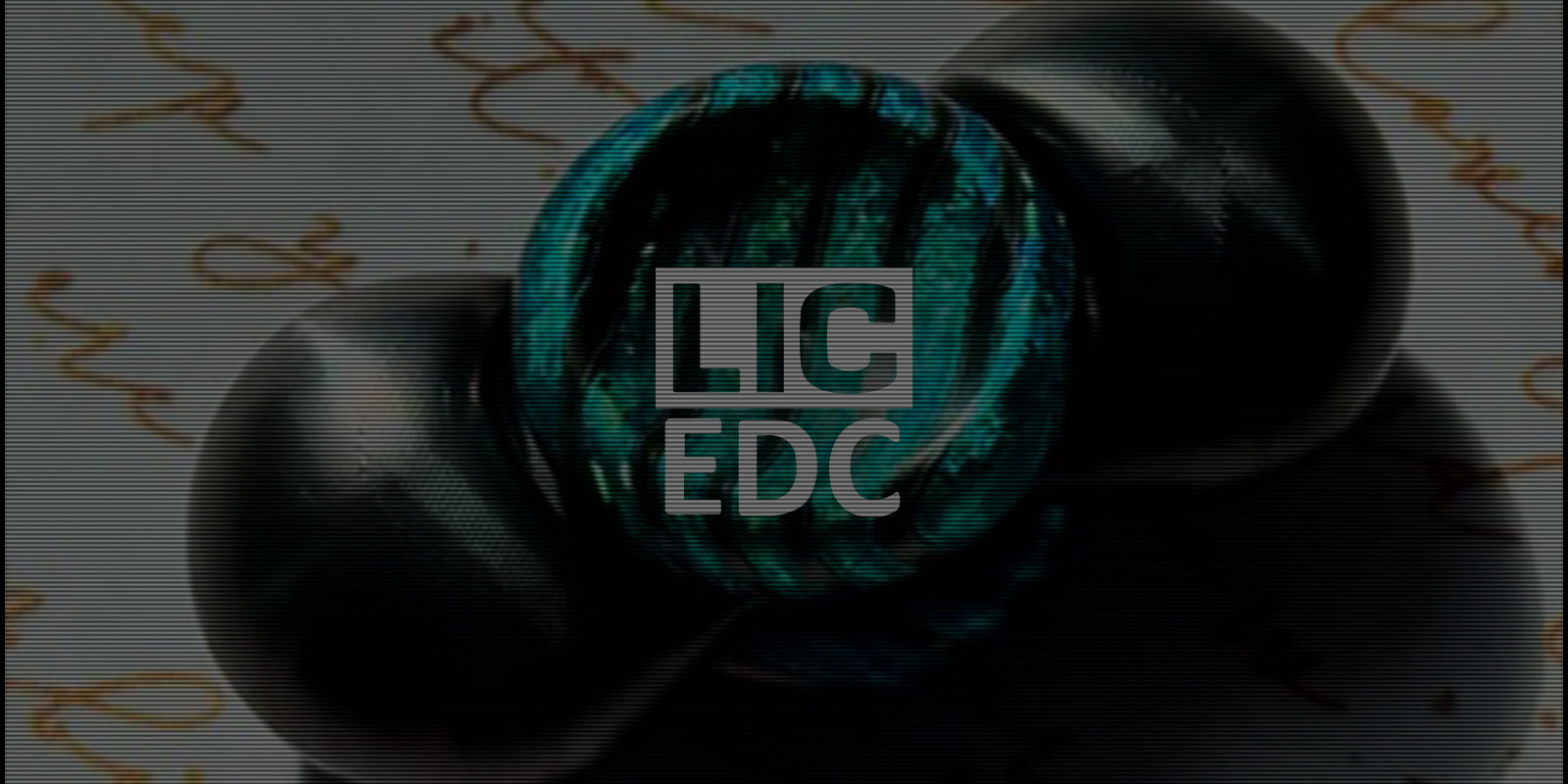 LICEDC_about