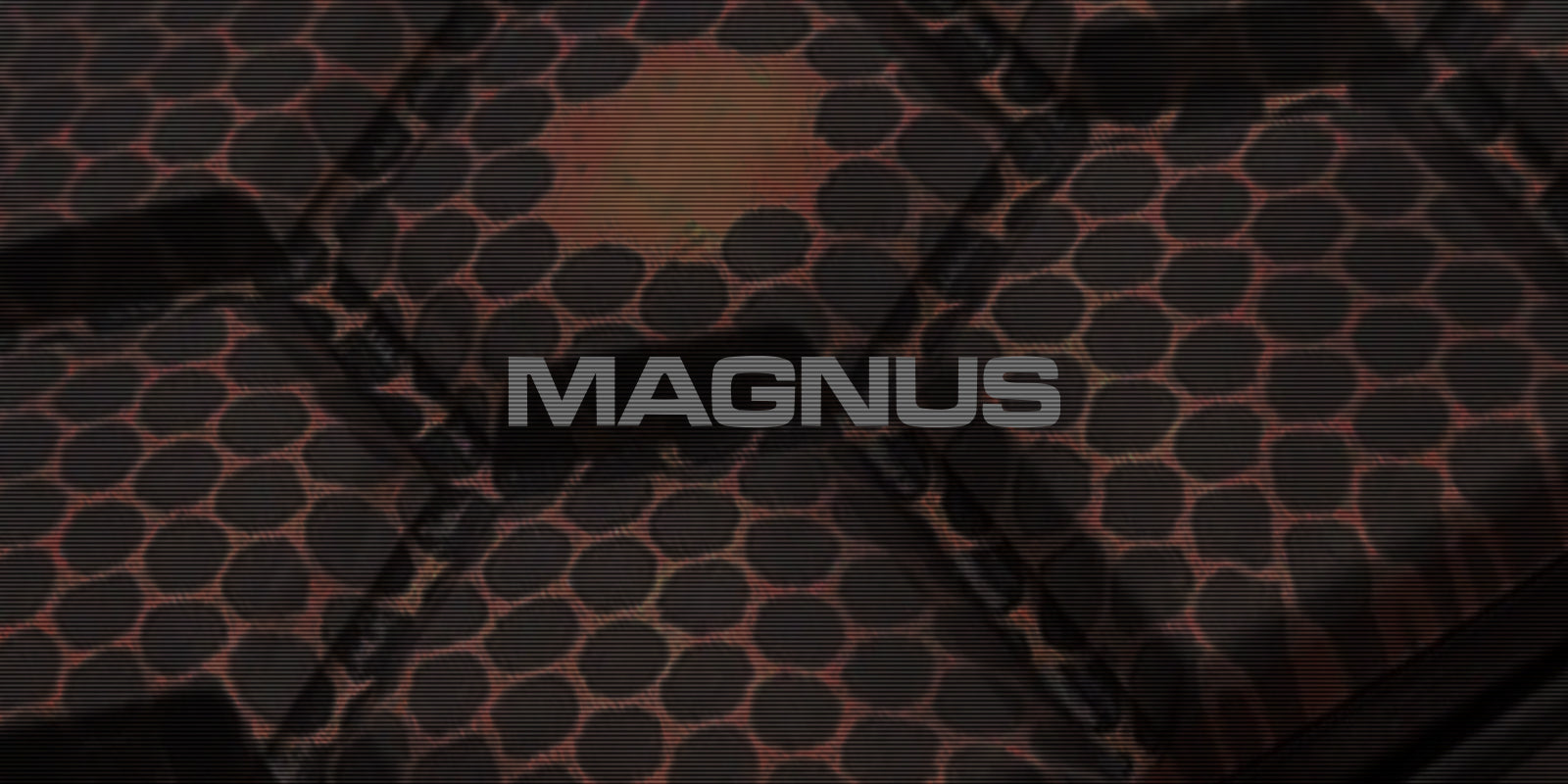 MAGNUS_about
