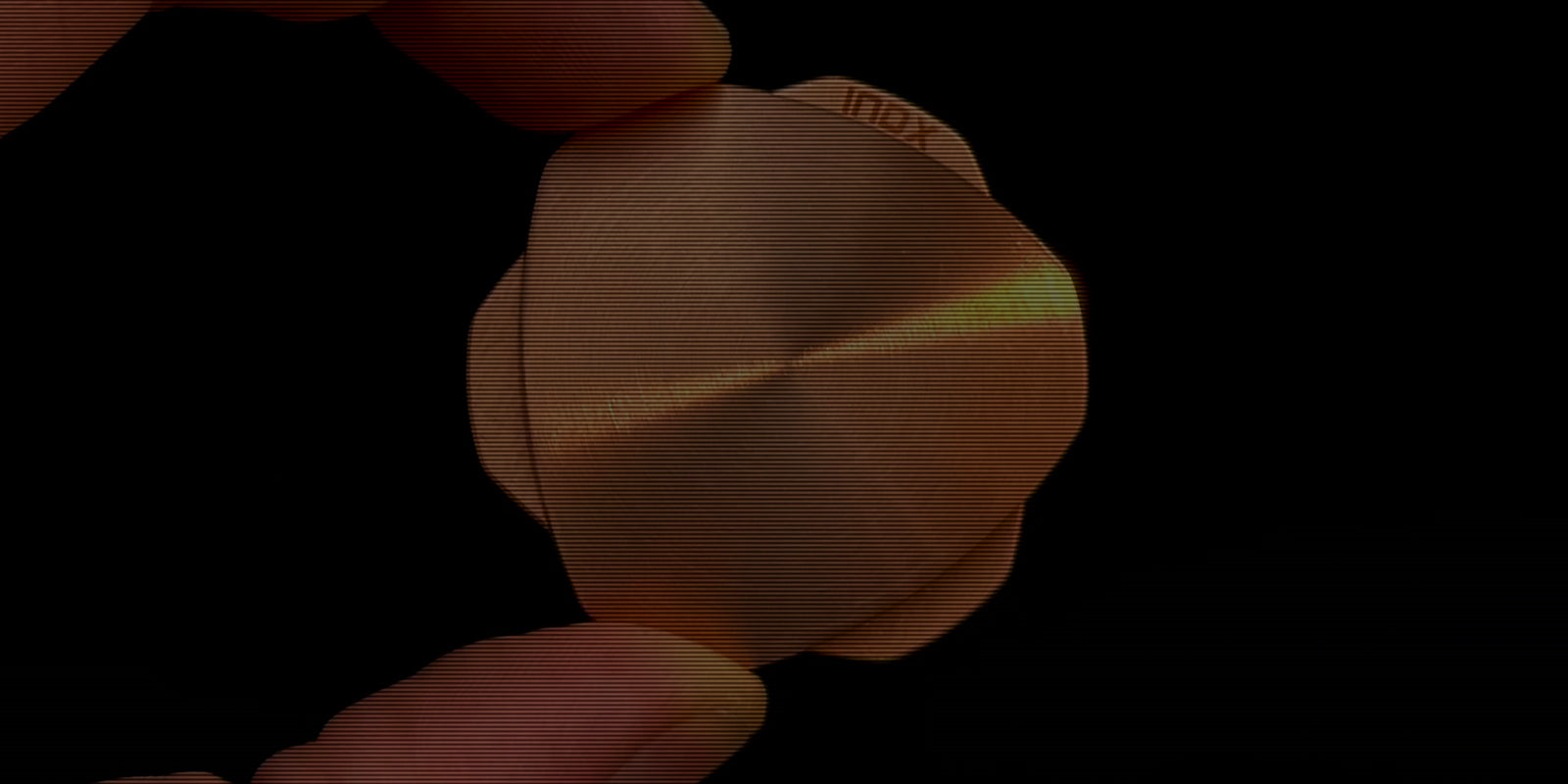 About Fluxx Design