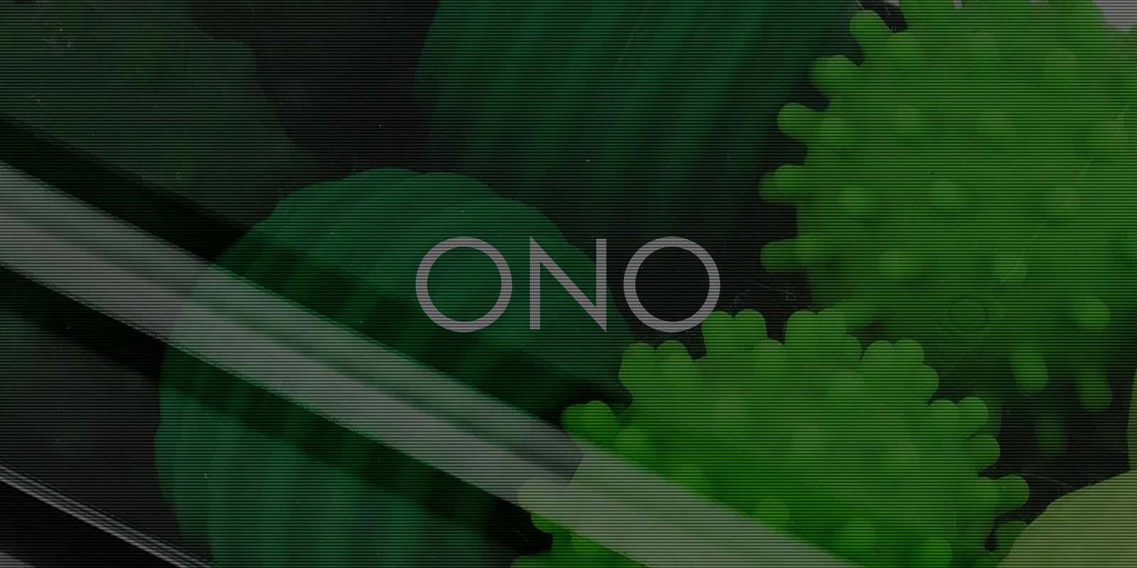 ONO_about