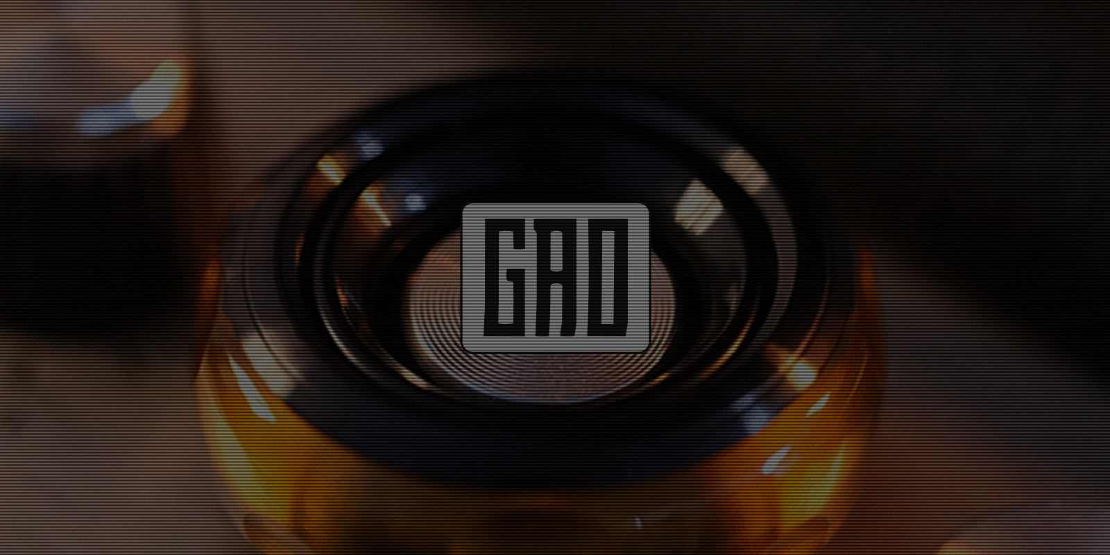 gao_about