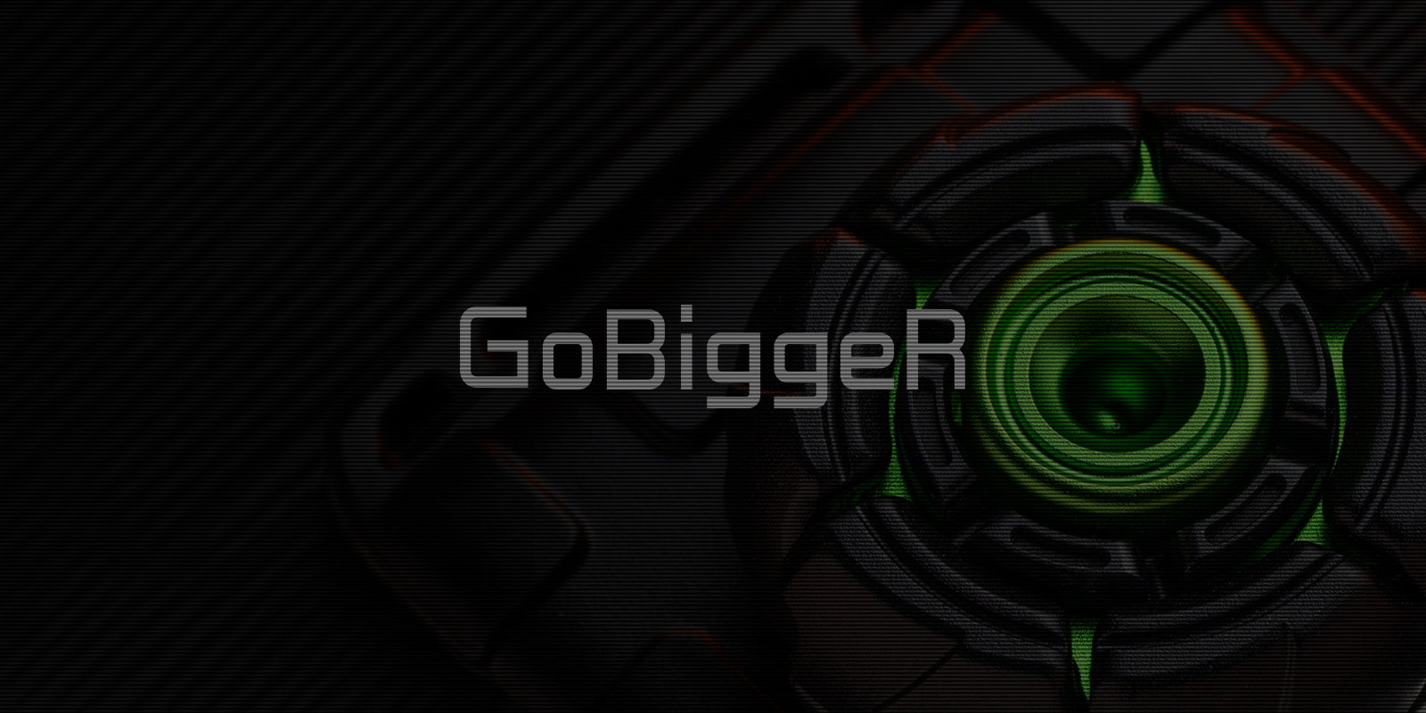 gobigger_about