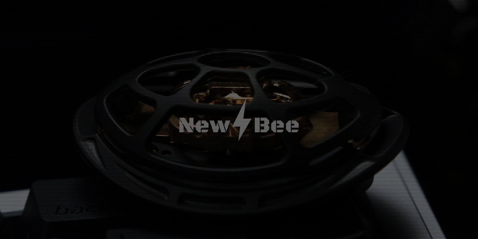 newbee_about